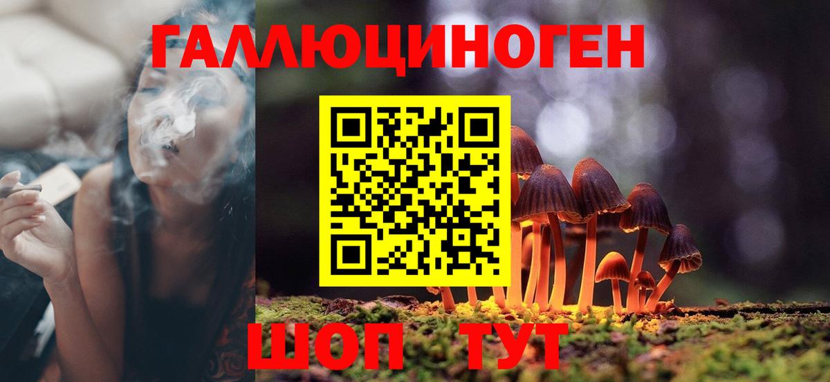 Псилоцибиновые грибы Cubensis Лысьва